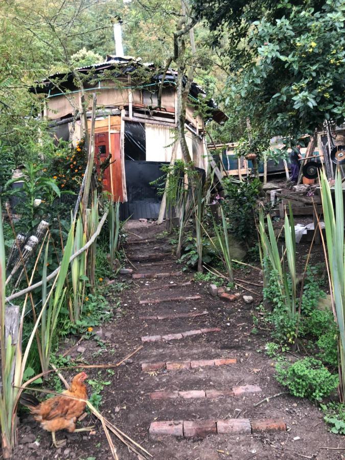 Palu Eco Aldea Otel Bogotá Dış mekan fotoğraf